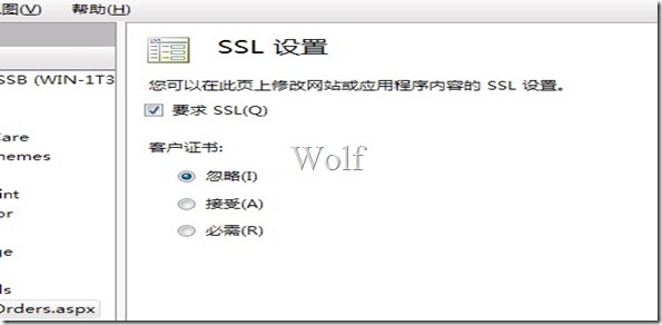 在IIS上SSL的部署和启动SSL安全-破狼
